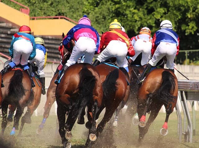 How to Calculate Horse Racing Odds